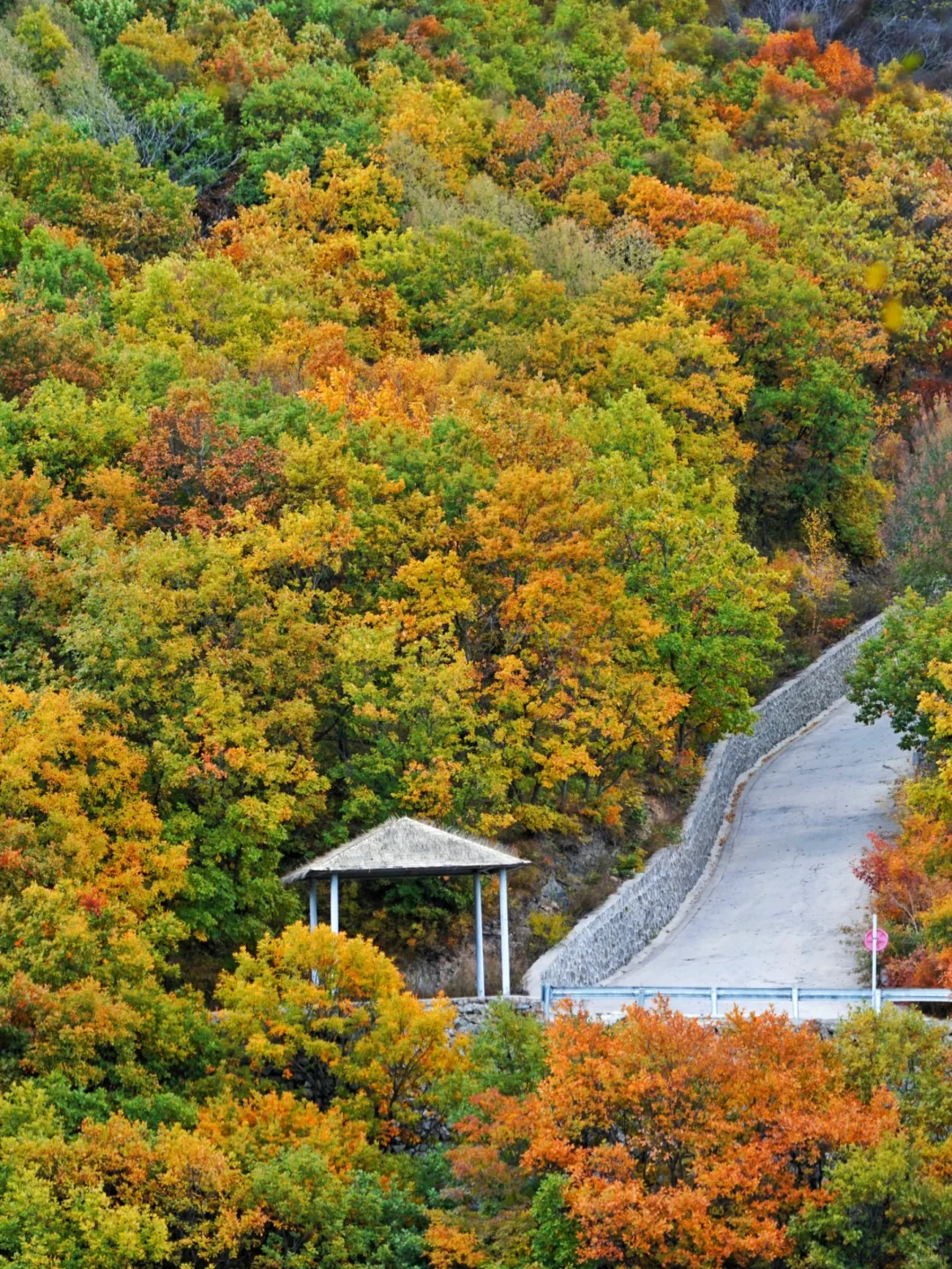 北京的秋天不这样玩儿等于白来！美到窒息！