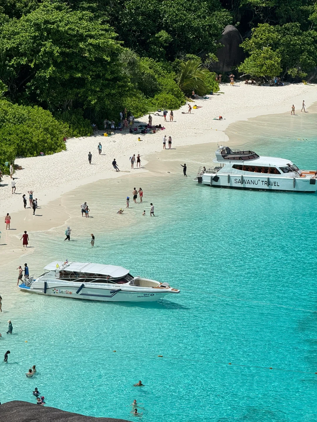 普吉一个松弛感拉满的地方🫧🐬🏝️