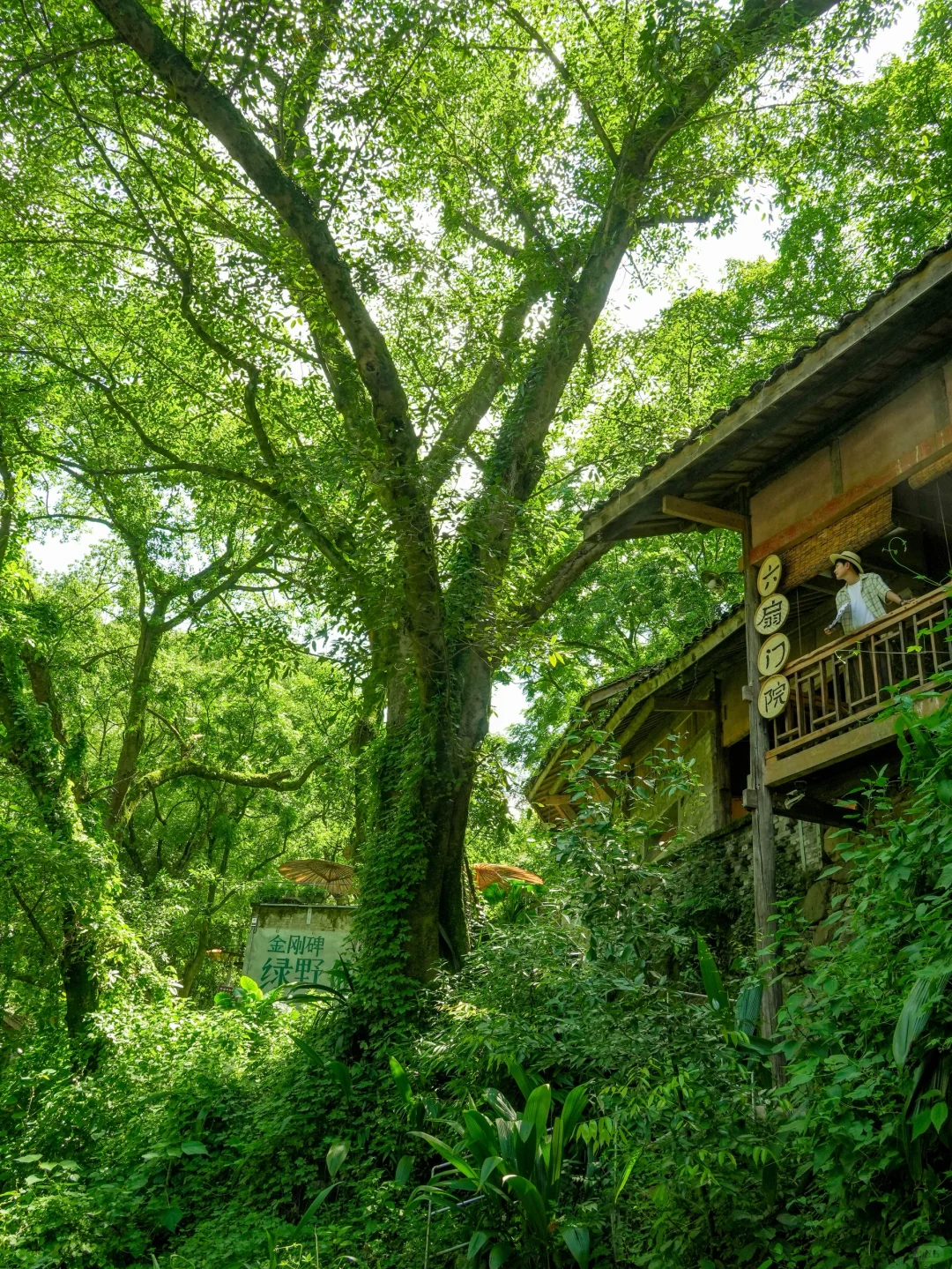比起洪崖洞，我更推荐你来重庆这个小众古村