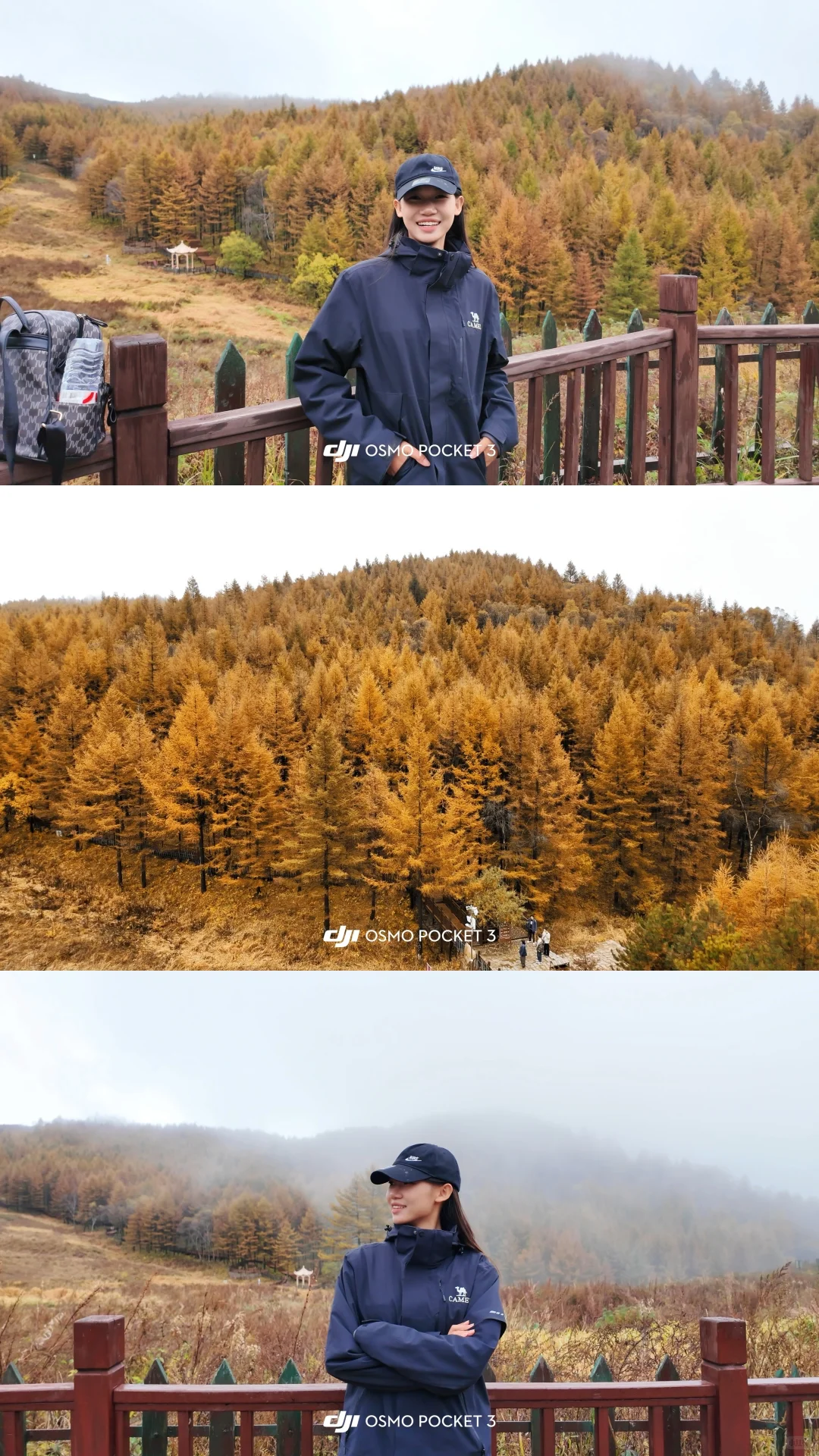 📍石家庄｜驼梁的金秋