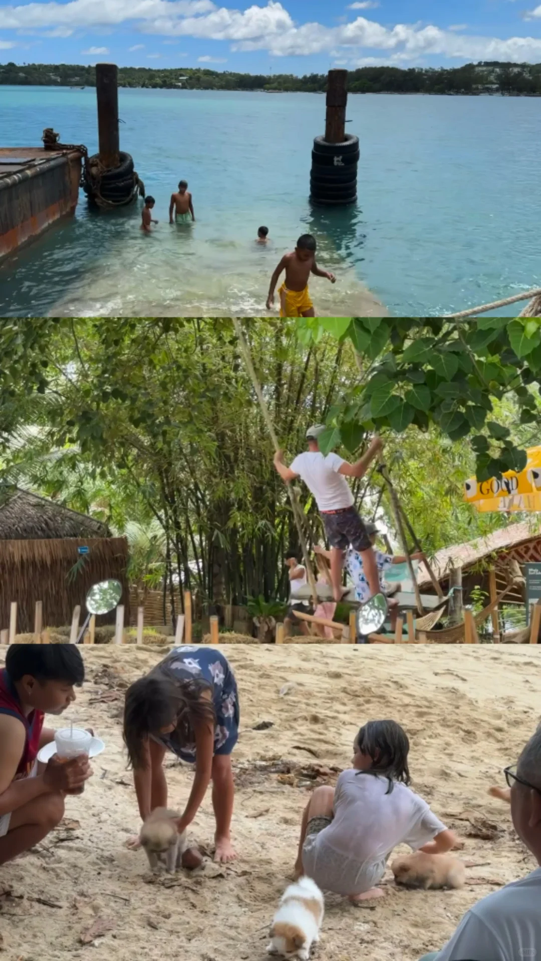 普吉一个松弛感拉满的地方🫧🐬🏝️