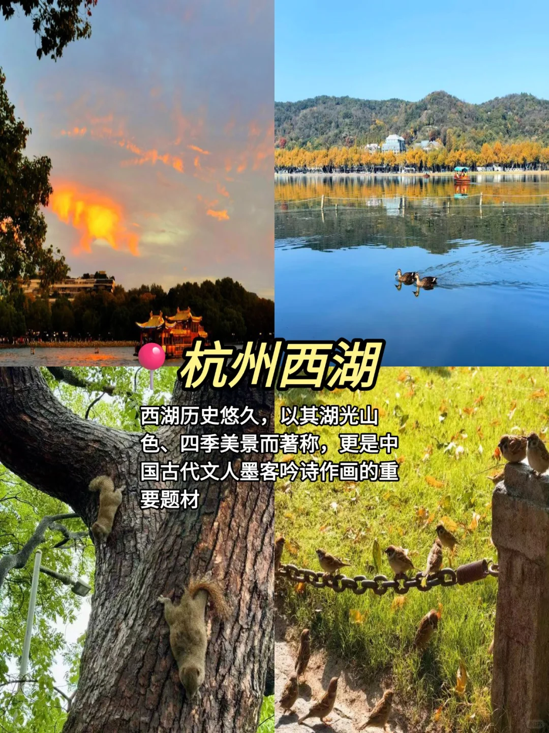 📍杭州一日游｜旅游攻略+美食+小吃