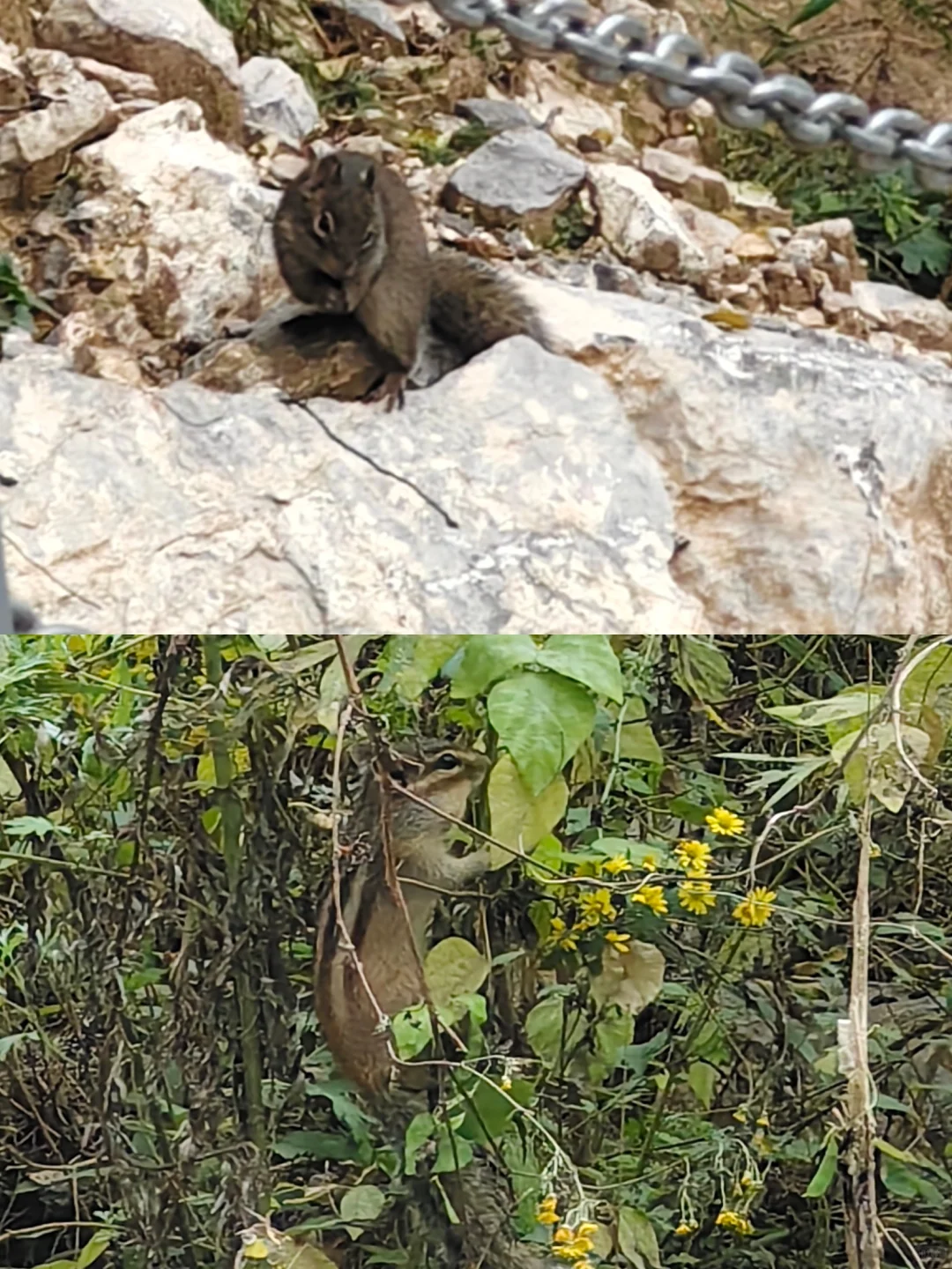 十一最冷清的4A级景区