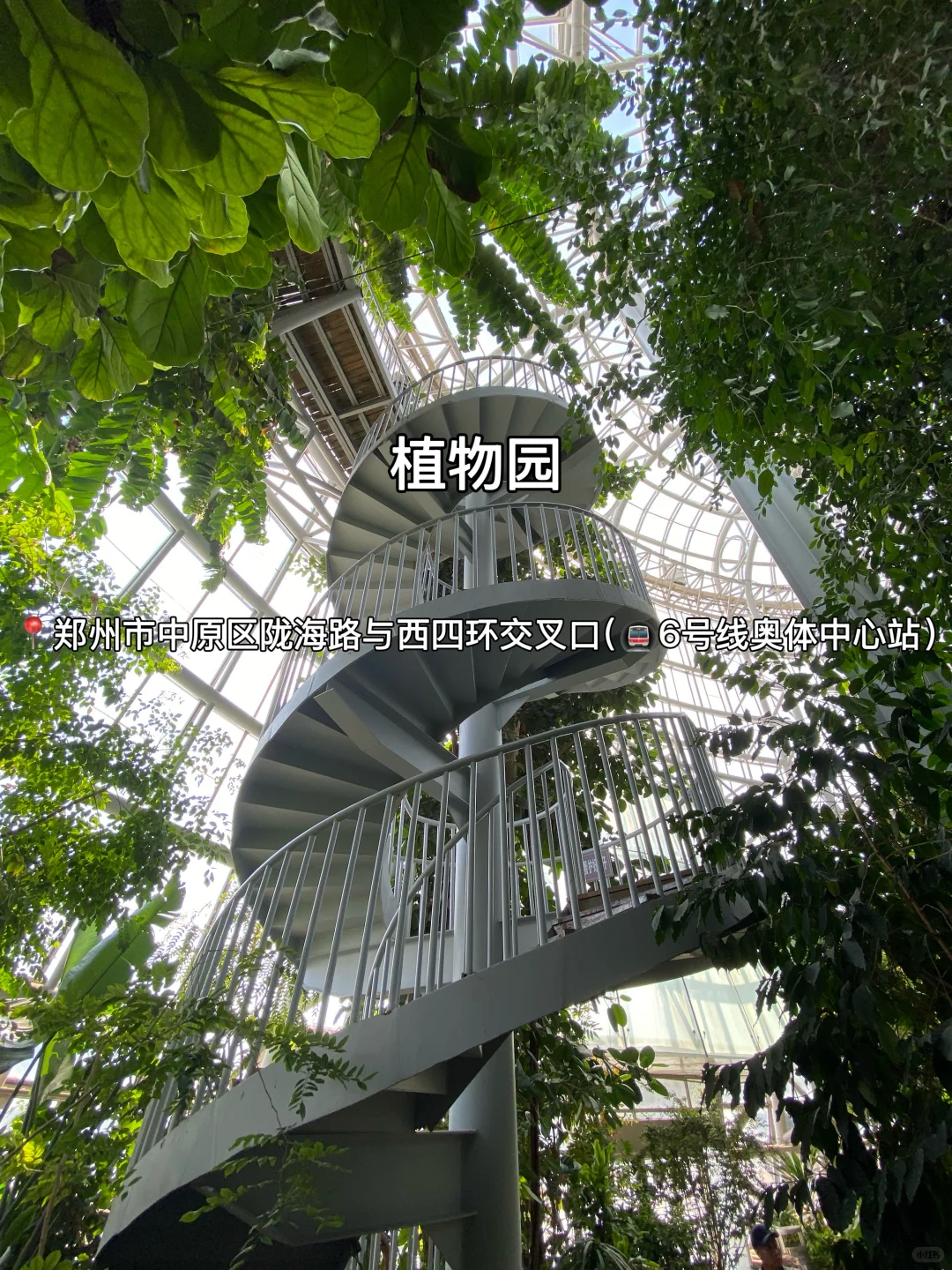 郑州十二大打卡点！来豫必看～