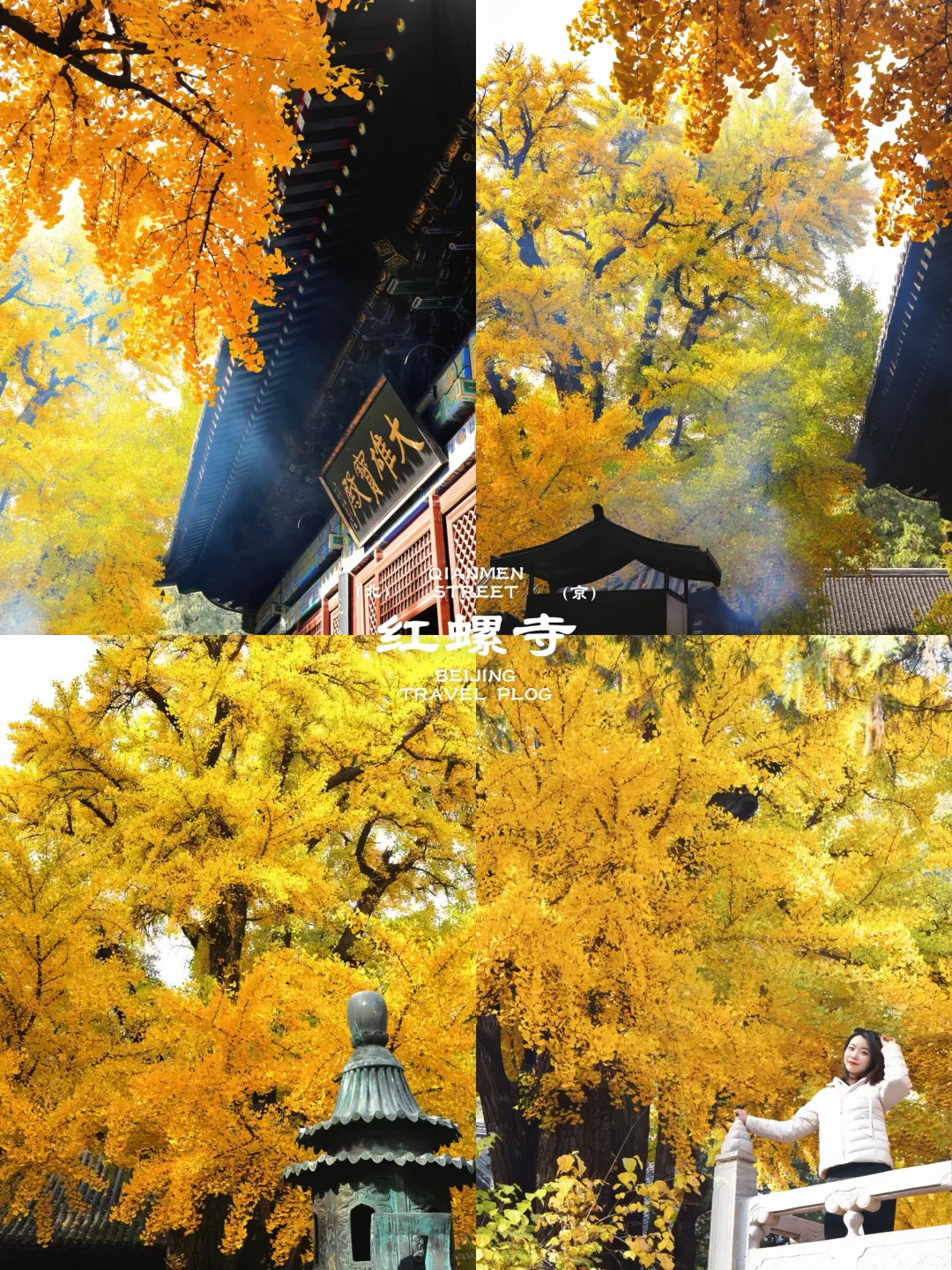 北京这❾个秋游地🍁真的祛魅不了一点‼️