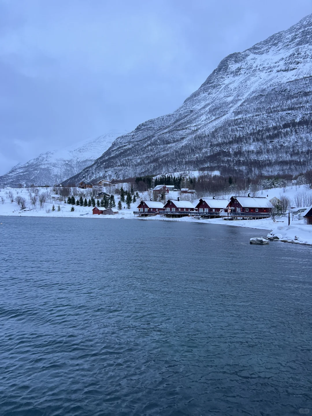 🇳🇴得了挪威病