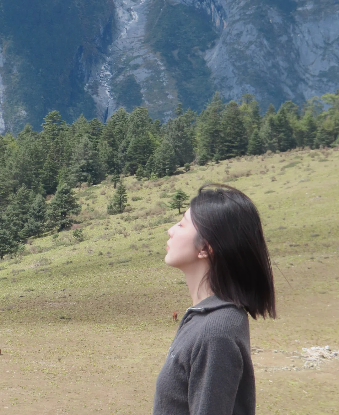 玉龙雪山去牦牛坪还是云杉坪，看这篇就够了