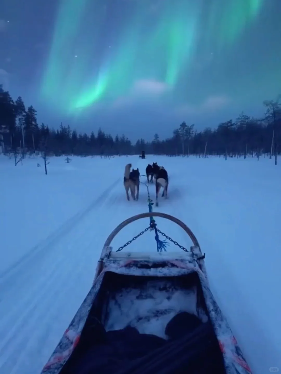 东北6天5晚保姆级攻略❄️长白山+延吉+哈尔滨