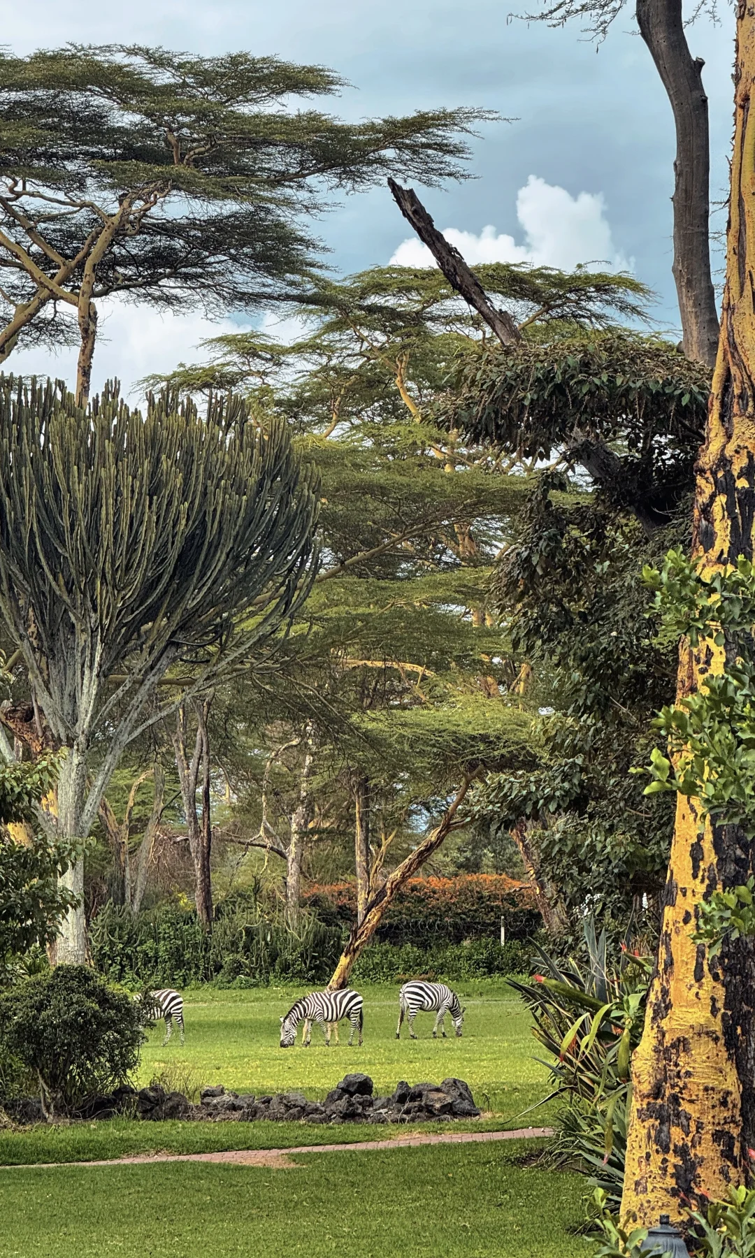 非洲的入门级酒店真的是刷新了我的旅行认知