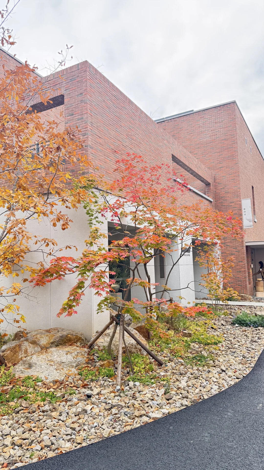 相见欢·砖红枫艳