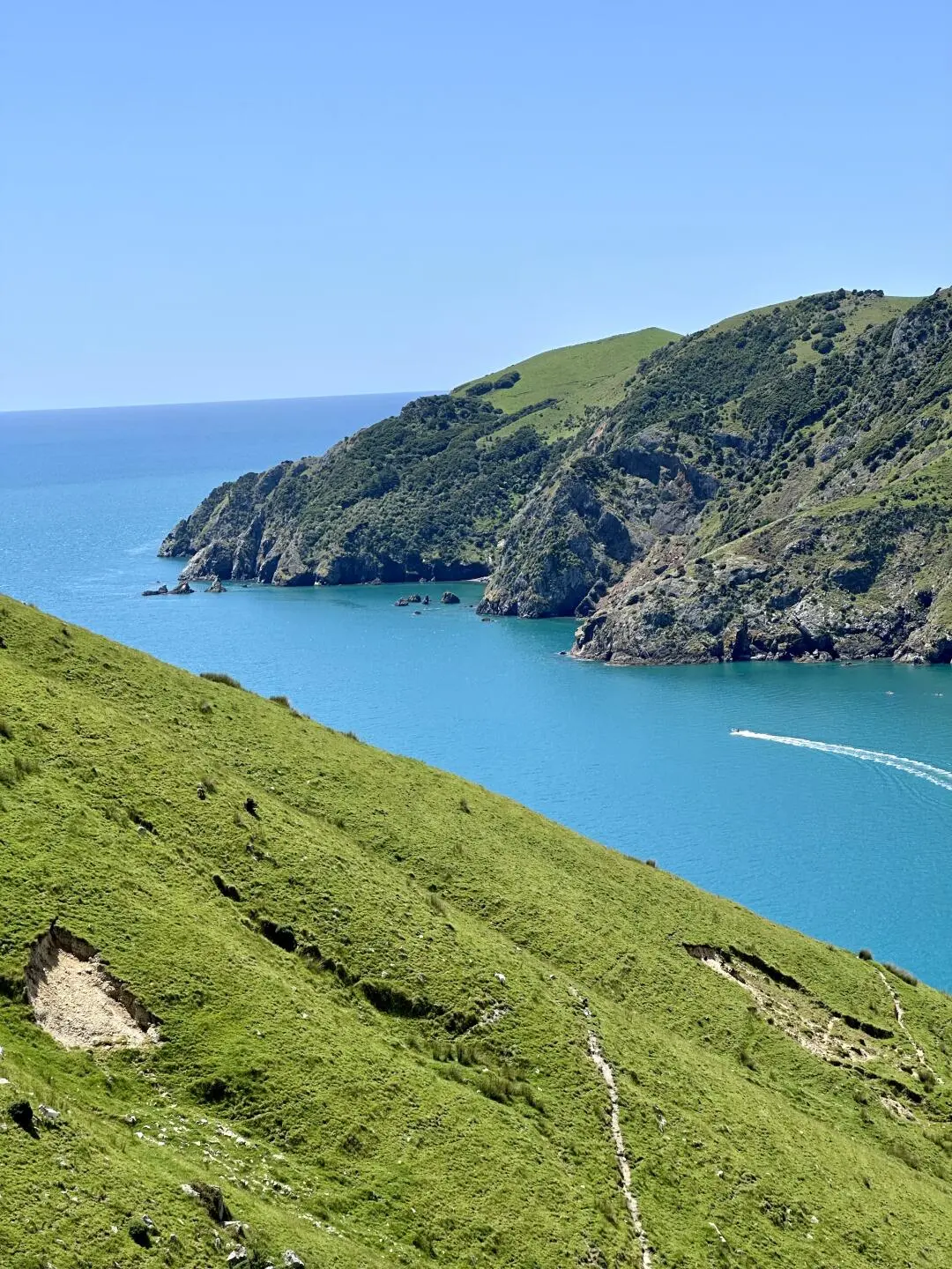 害怕被拒签，选择跟团去新西兰旅游，结果…