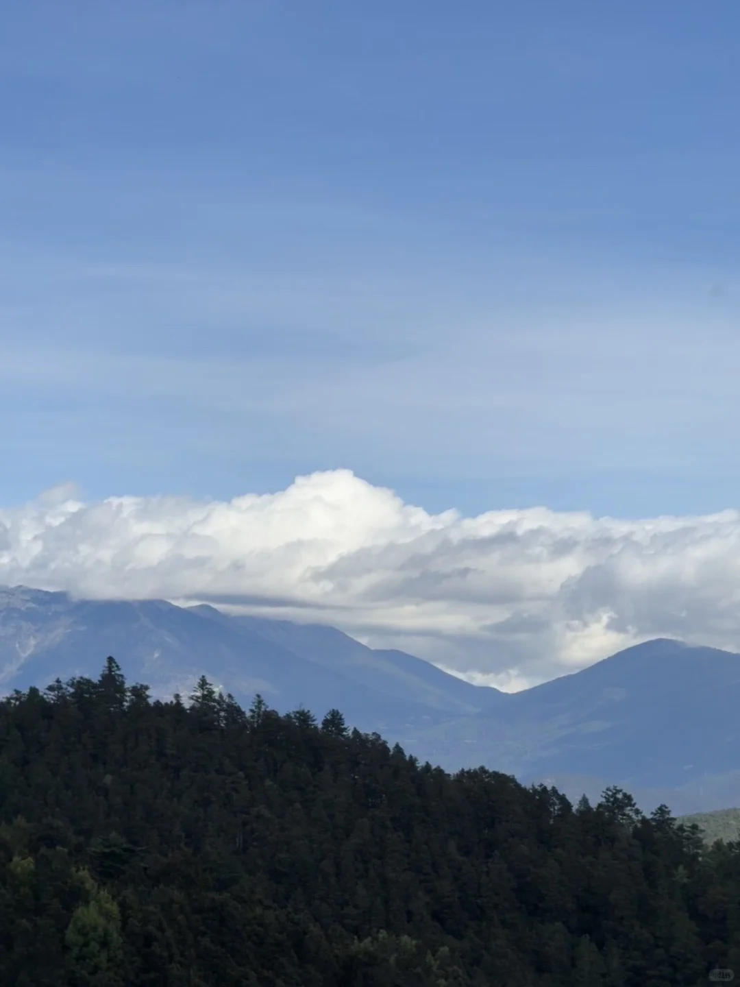 玉龙雪山去牦牛坪还是云杉坪，看这篇就够了