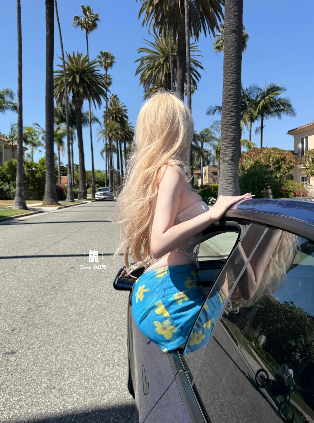 美国|棕榈大道 喜欢阳光的味道🌴