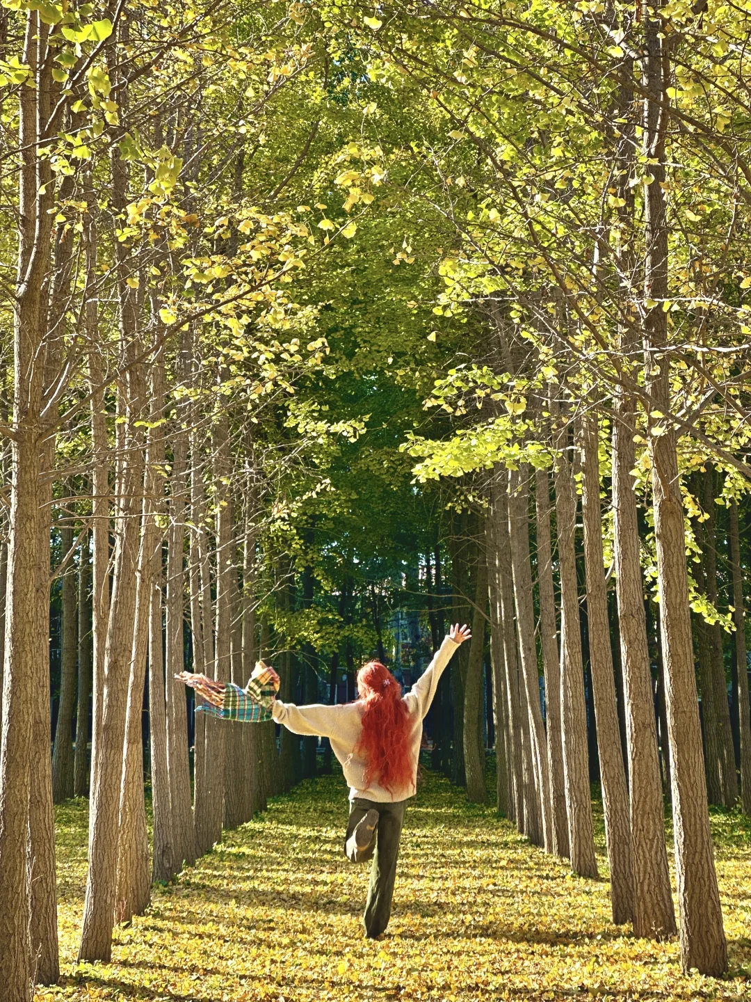 北平18图～🍂🍁 附位置📍