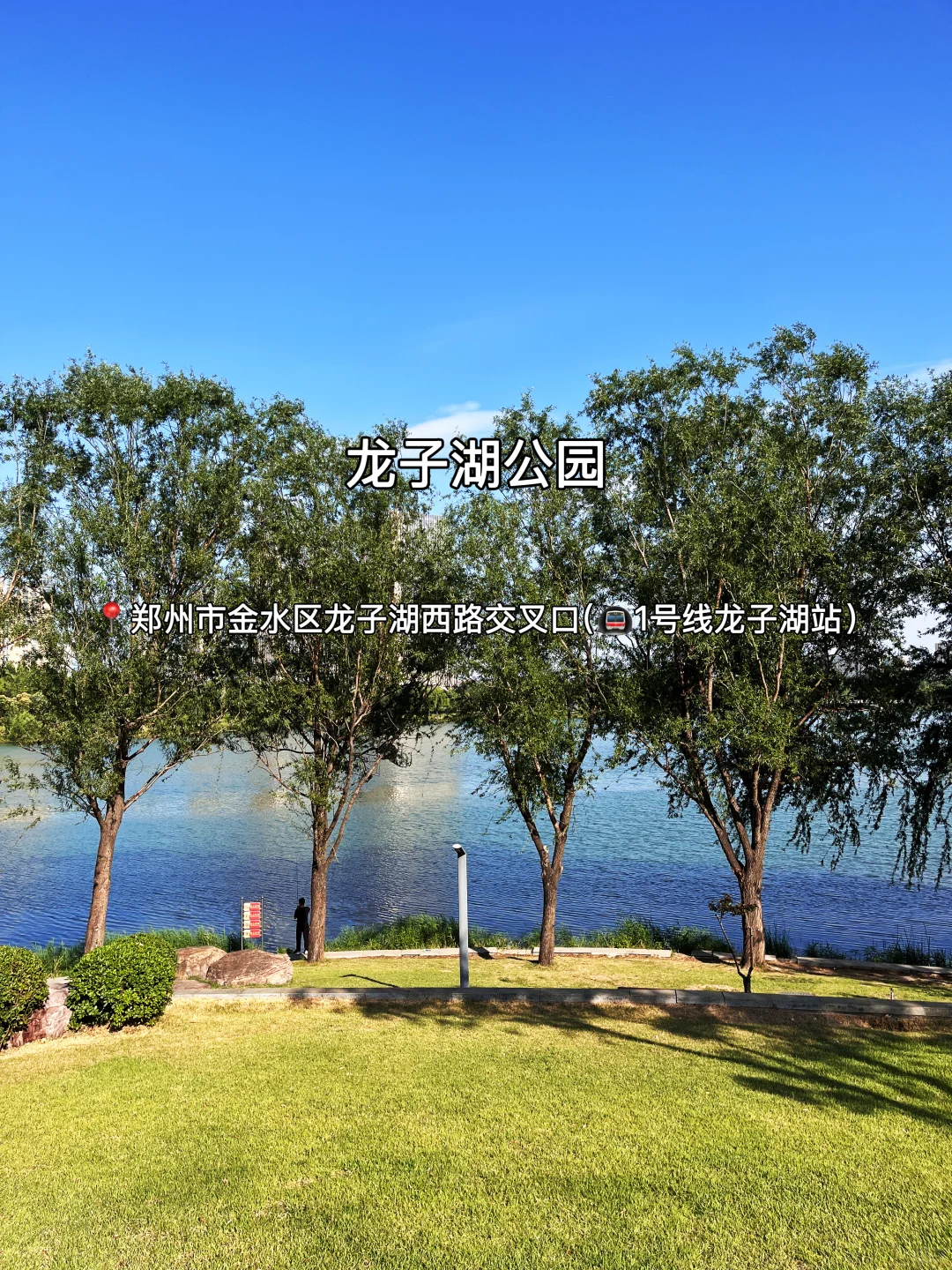 郑州十二大打卡点！来豫必看～