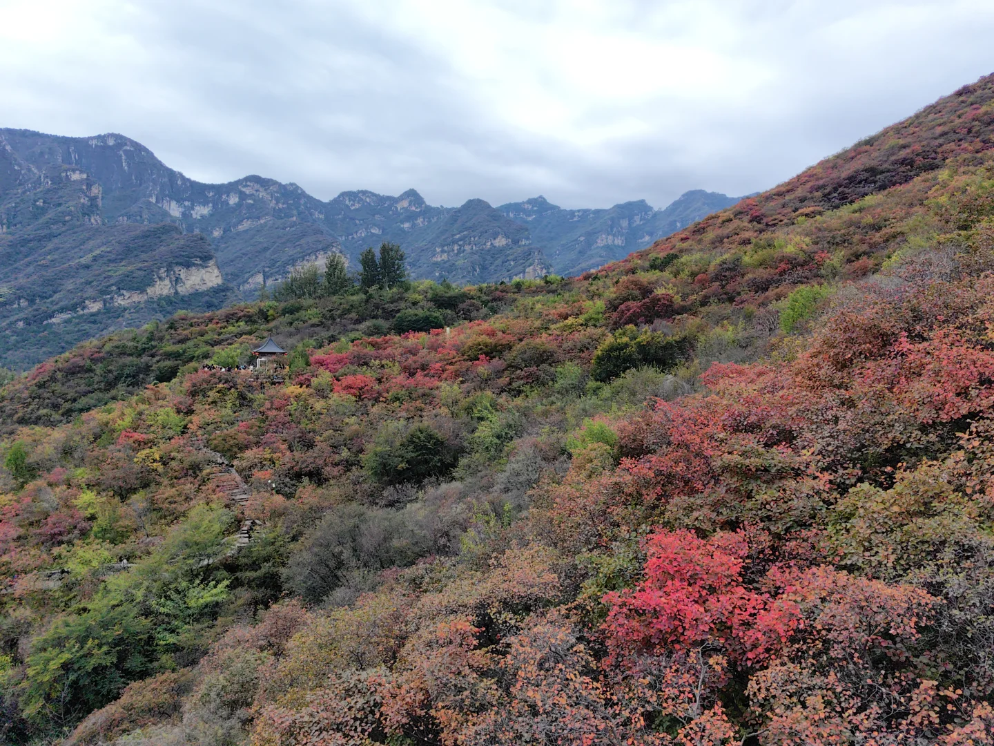 10月18日的坡峰岭红叶