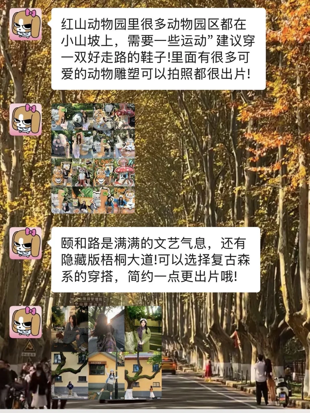 10-11月准备来南京的姐妹千万要注意了！