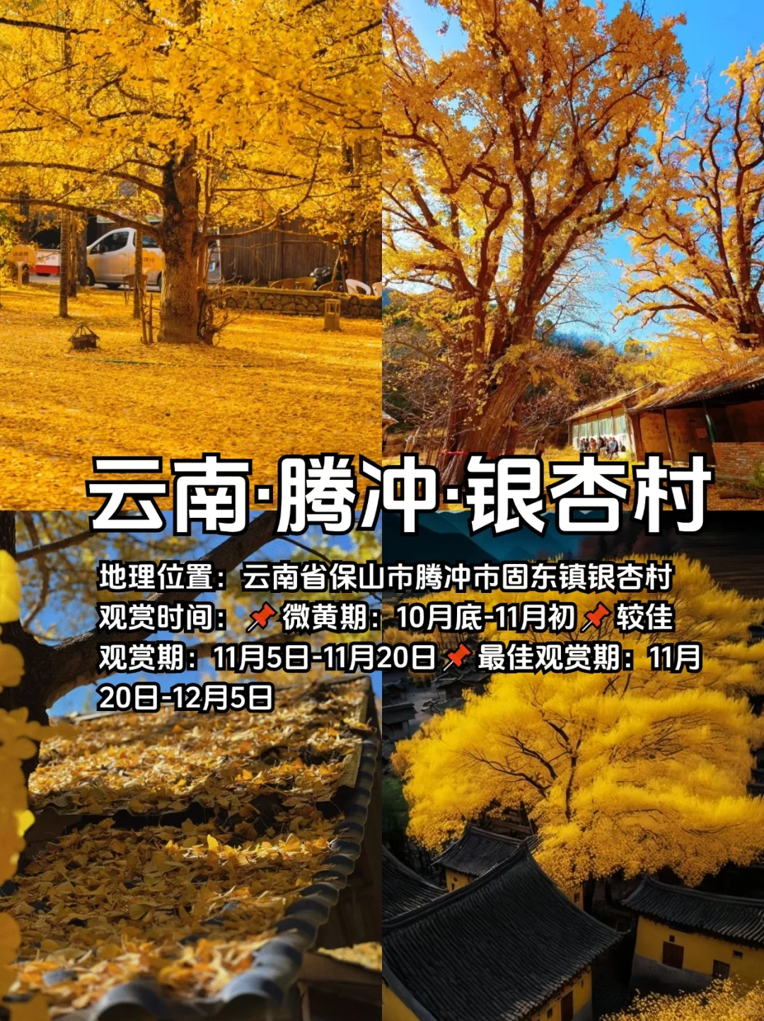 适合10、11月去赏秋的10个城市合集🍁