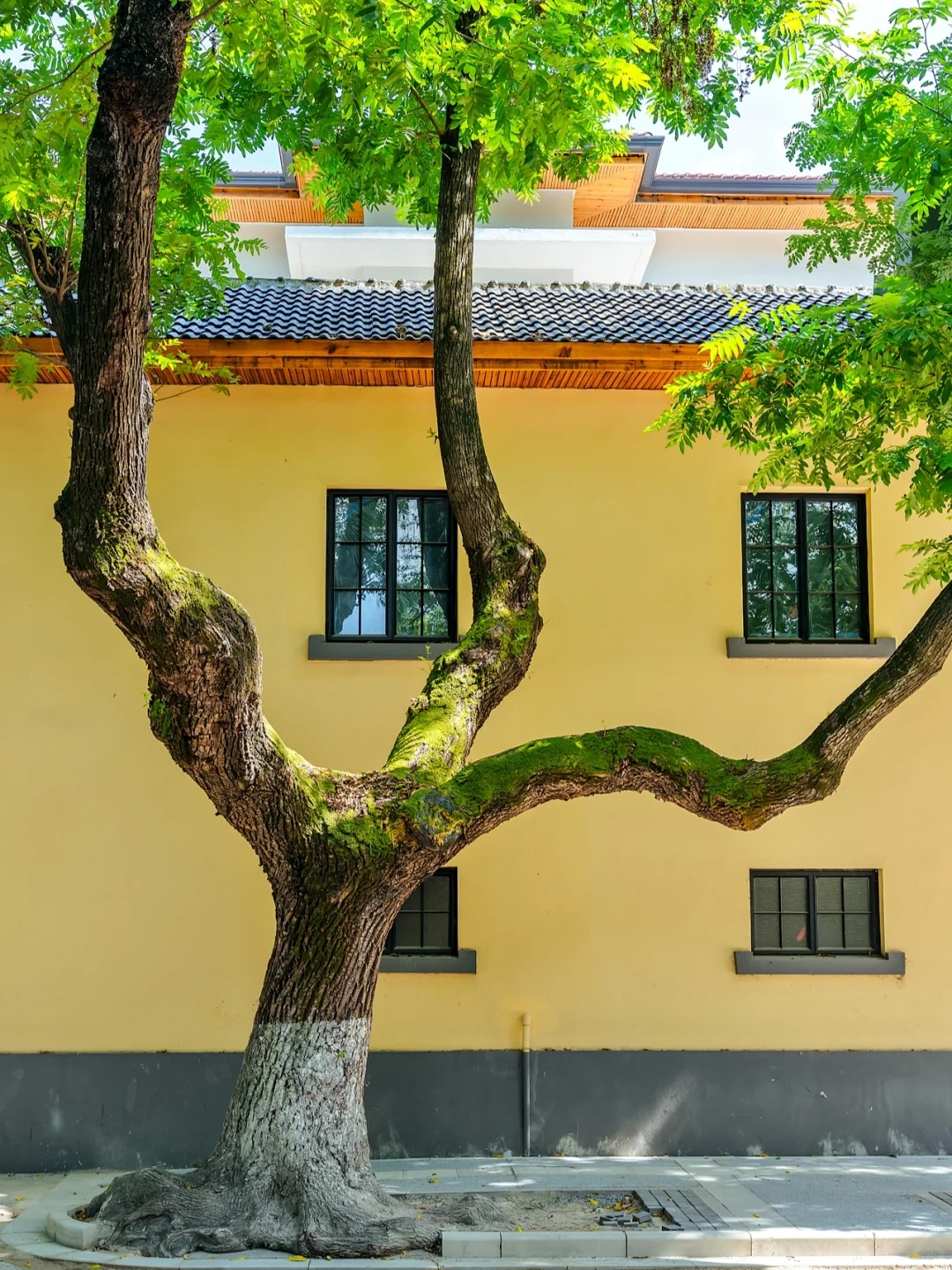 为了这1️⃣2️⃣张图，我专程去了趟南京！