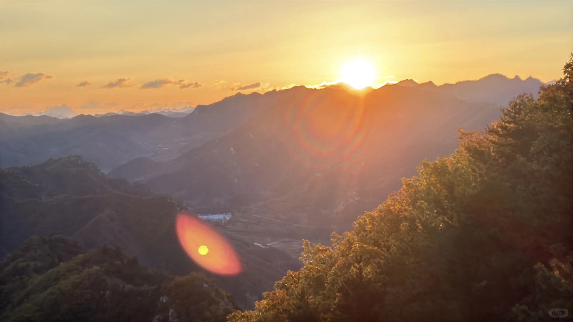 阿那亚金山岭的秋天🍂