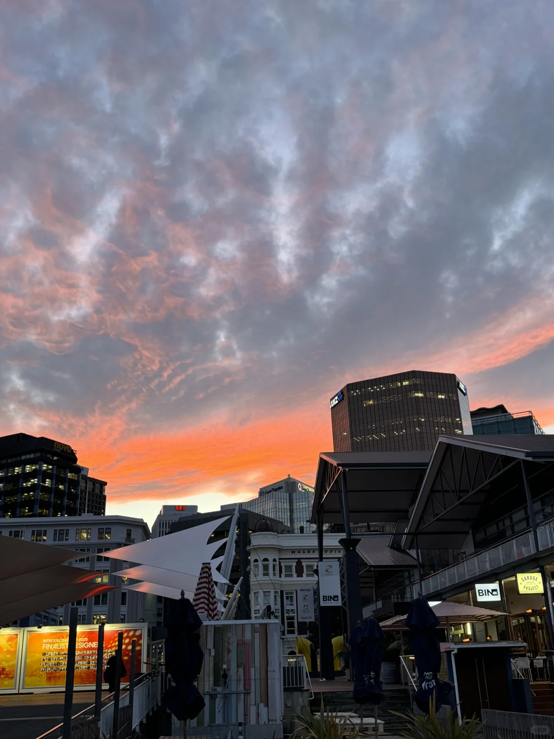 我愿称之为最酷小首都｜新西兰惠灵顿