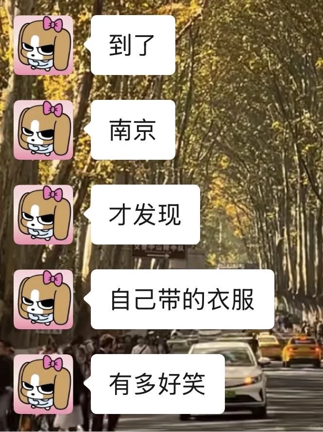 10-11月准备来南京的姐妹千万要注意了！