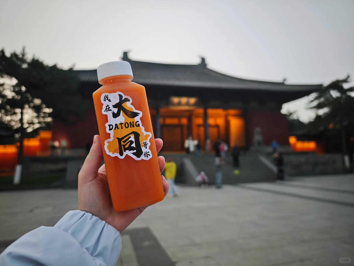 乌萨奇勇闯山西旅游之大同篇