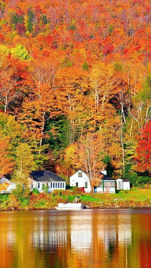 用满屏照片打开秋天的期待🍁🌰🧋…