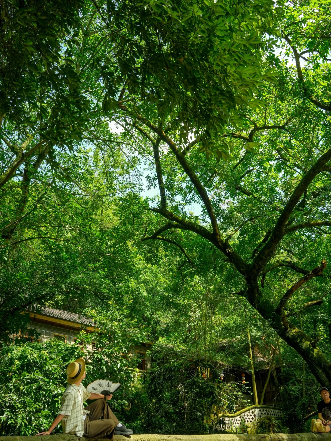 比起洪崖洞，我更推荐你来重庆这个小众古村