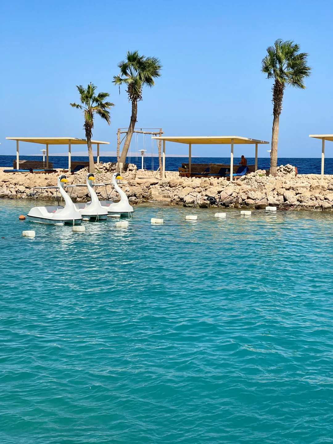 埃及live🇪🇬我宣布赫尔格达的海没有对手！