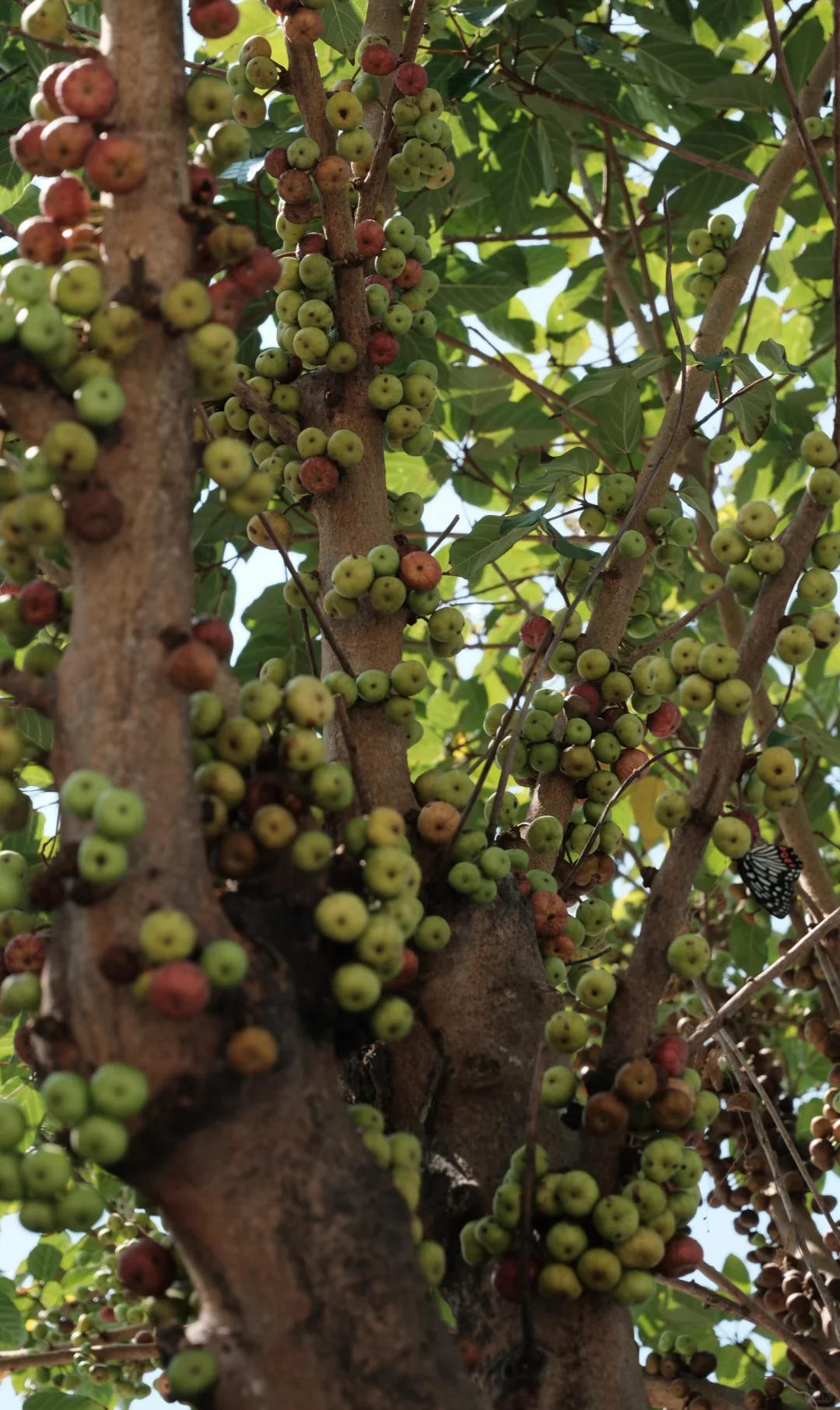 这么近 那么美 周末到汕尾