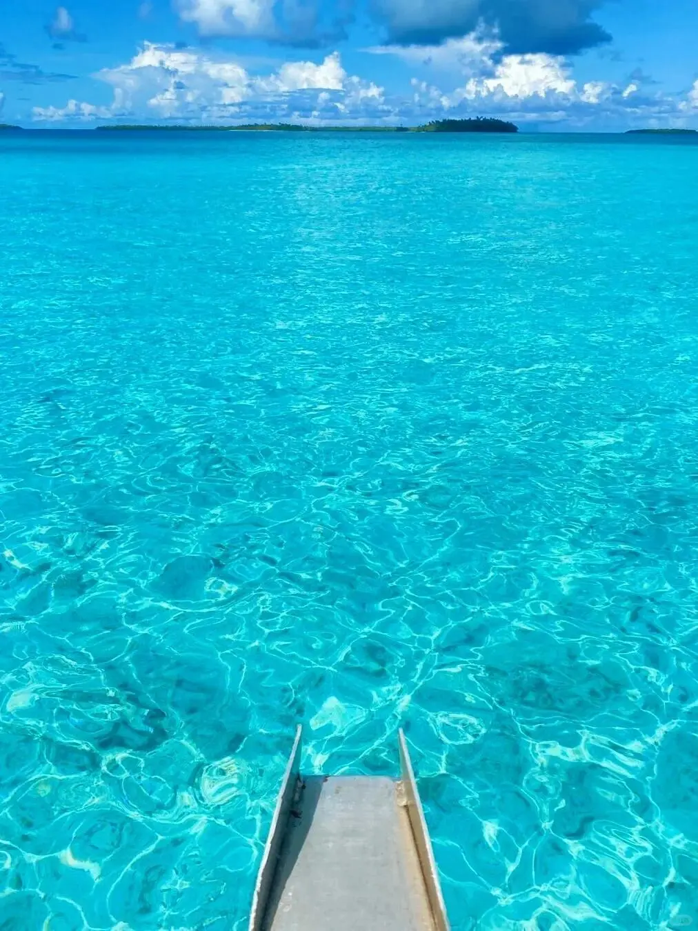 免签国斐济没人...😅春节便宜到怀疑人生