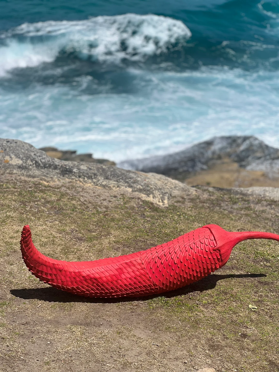 想和你再去看看海🩵