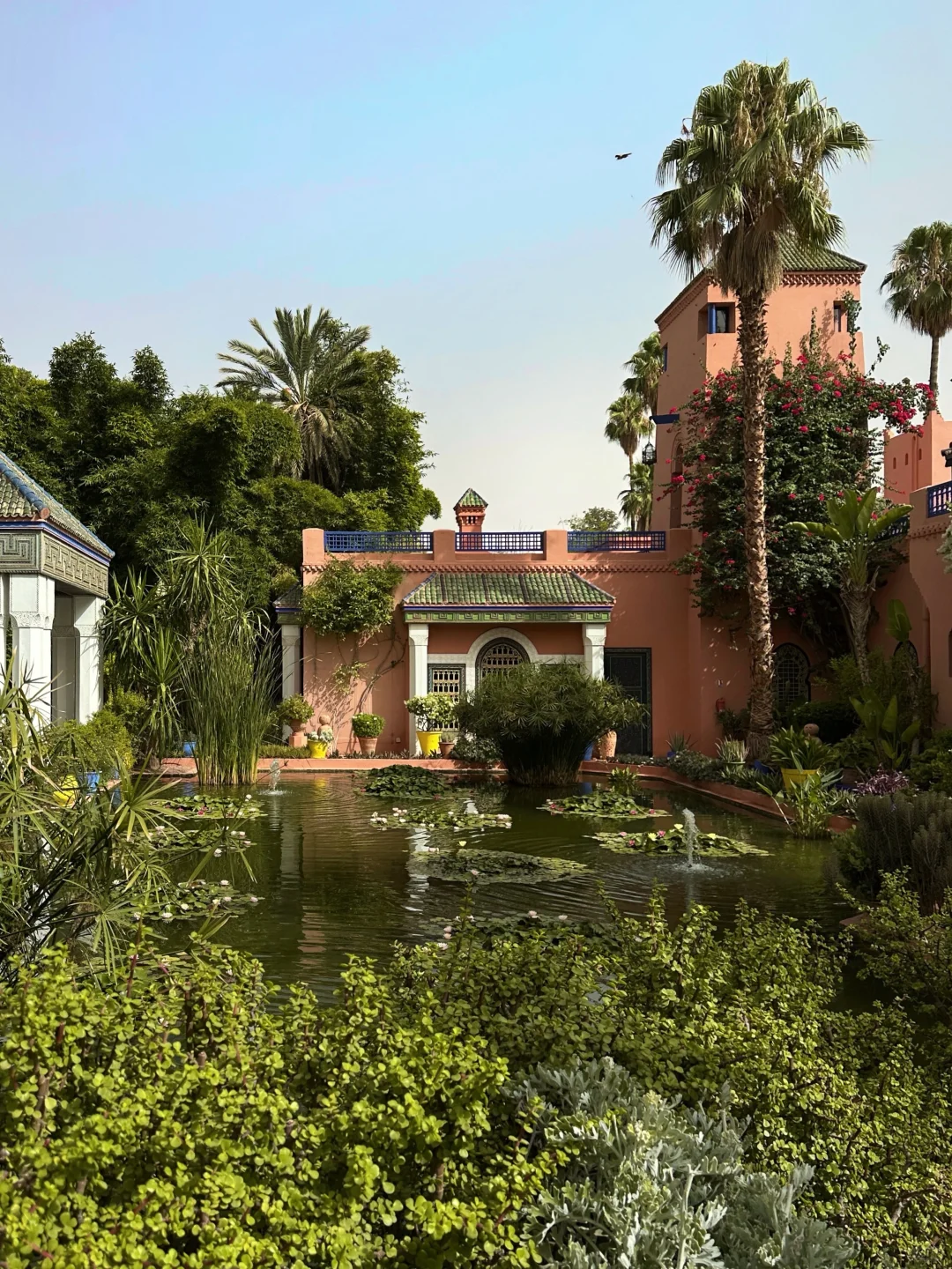 摩洛哥在我心里超过欧洲