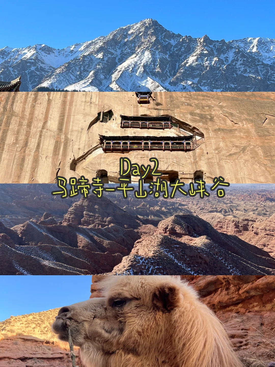 春节一人游｜河西走廊之张掖🐫