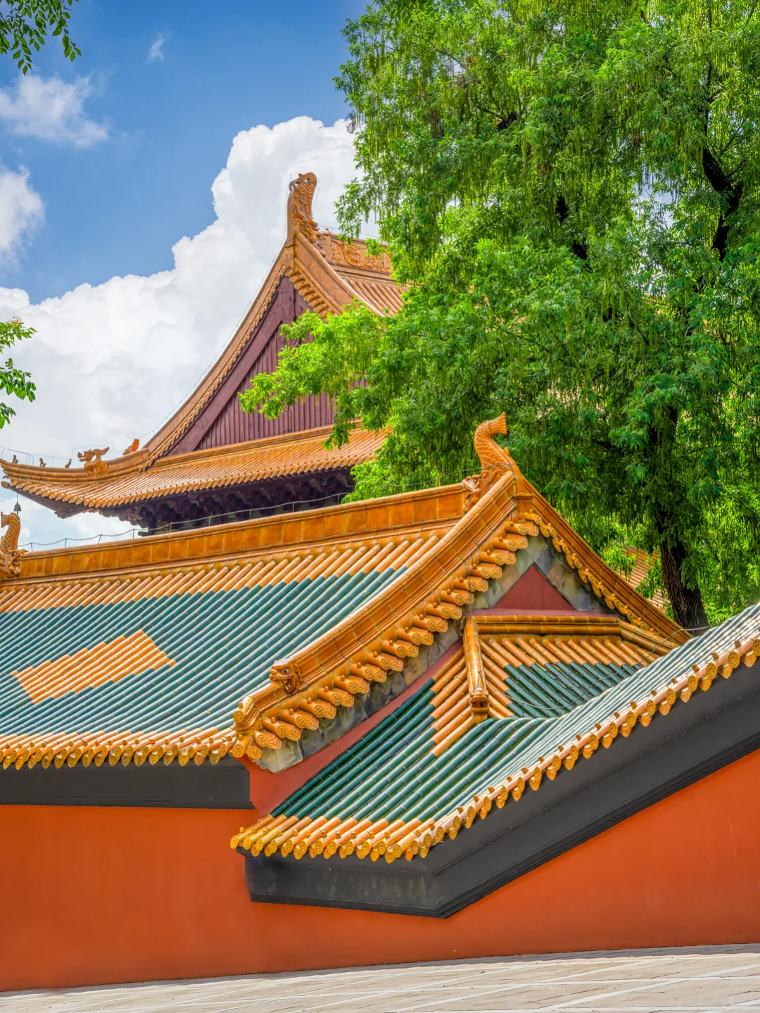 为了这1️⃣2️⃣张图，我专程去了趟南京！