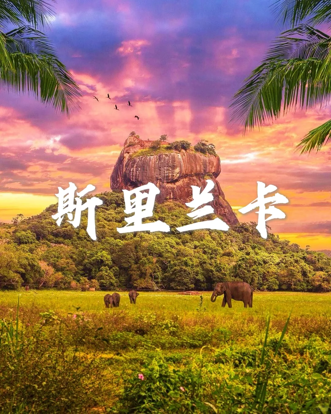 预算5K💰|这➒个低消国家❗️别错过👍🏻超值❗️