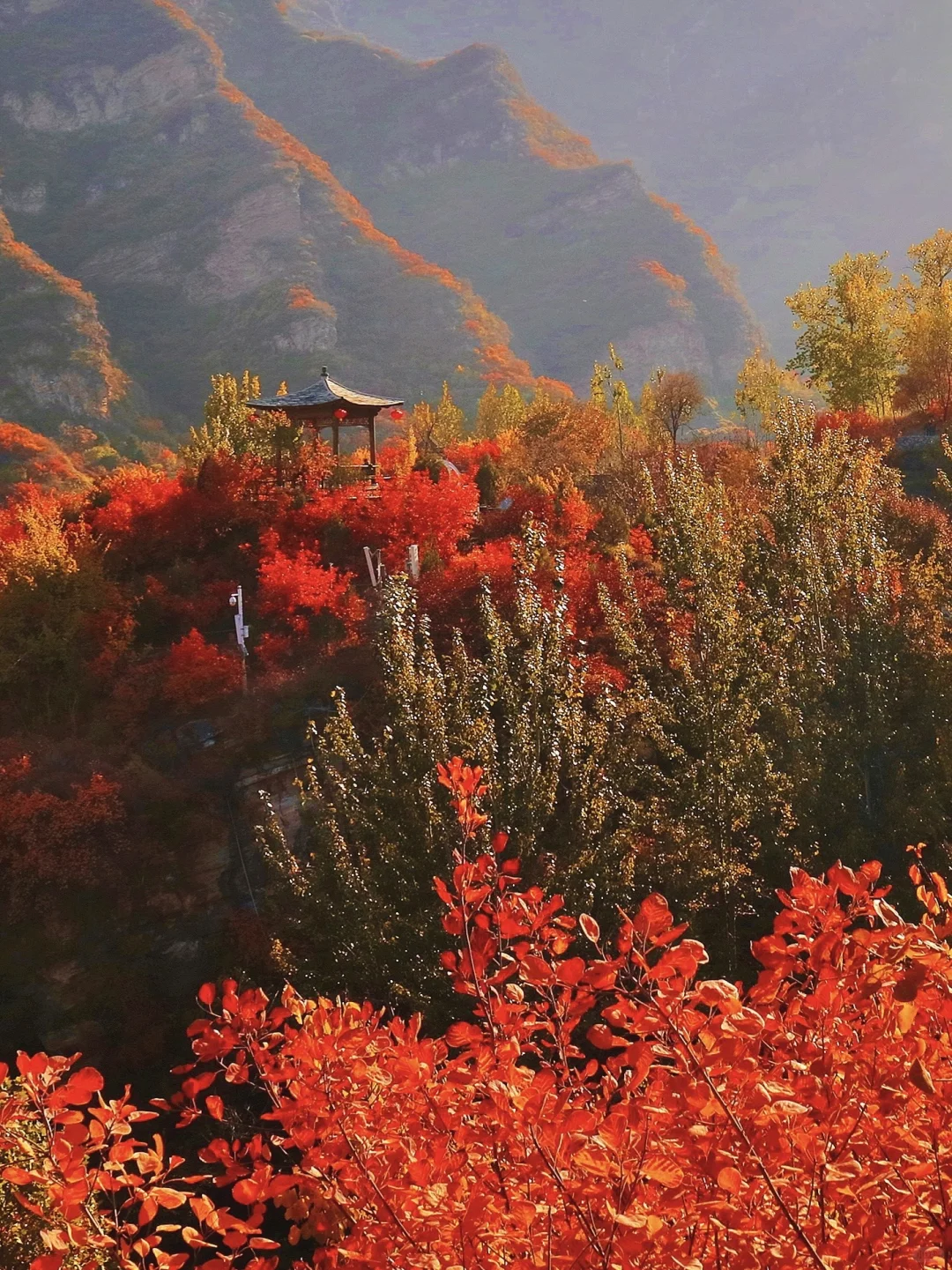 北京这❾个秋游地🍁真的祛魅不了一点‼️
