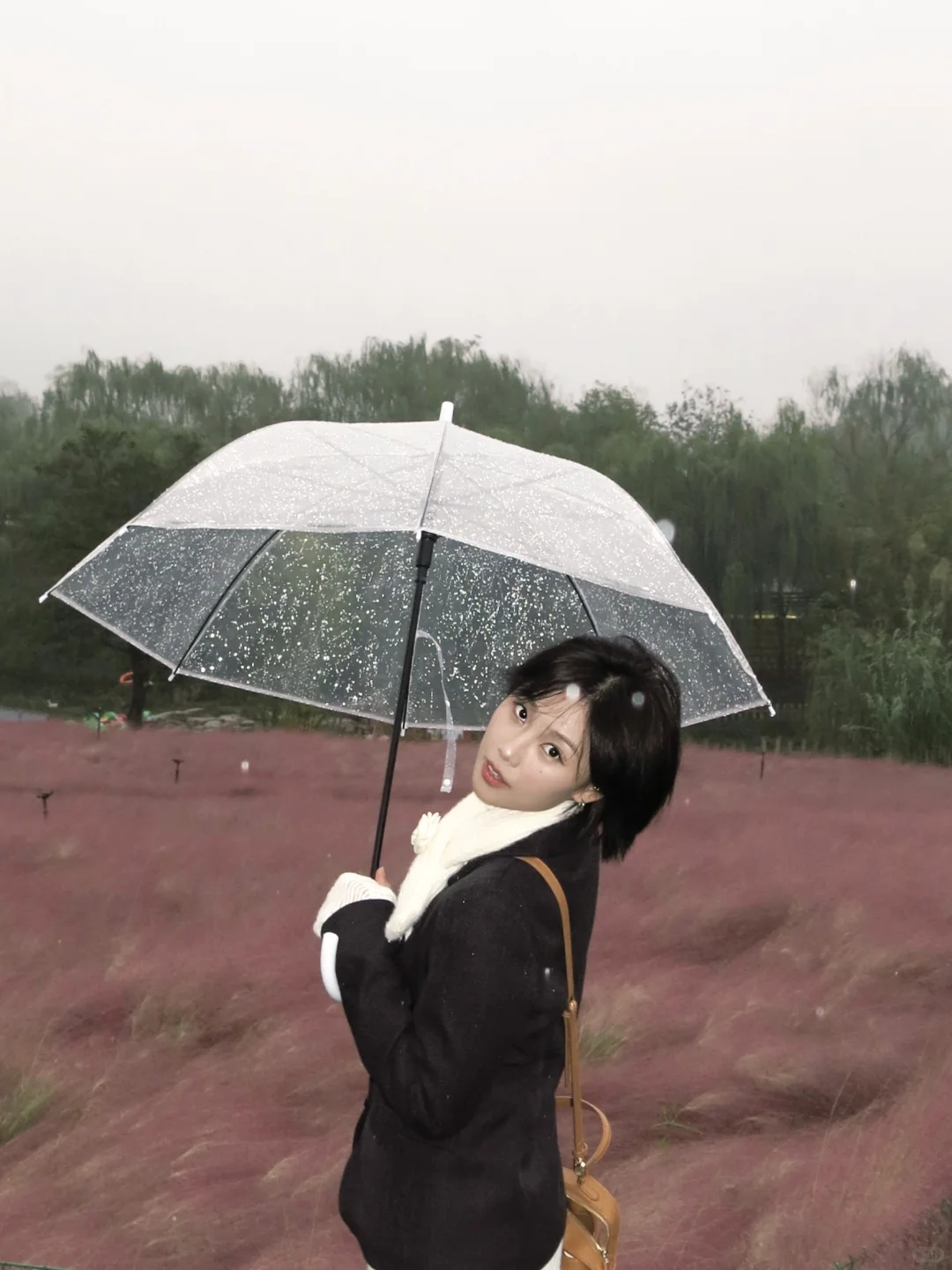 千万不要错过邯郸粉黛❗阴天都美到犯规❗❗