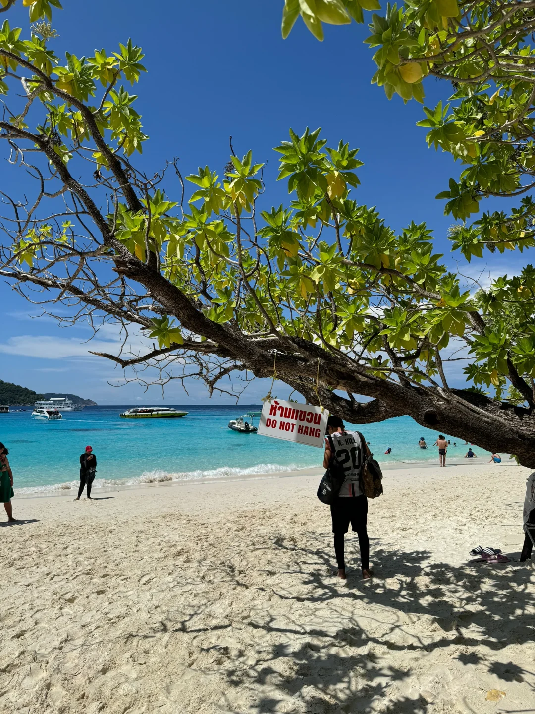 普吉一个松弛感拉满的地方🫧🐬🏝️