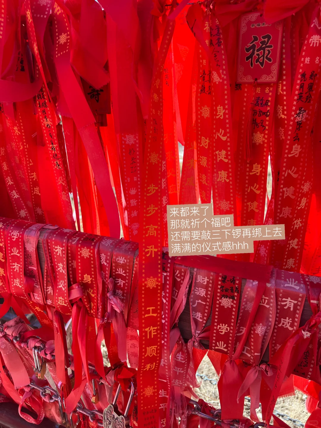 春节一人游｜河西走廊之张掖🐫
