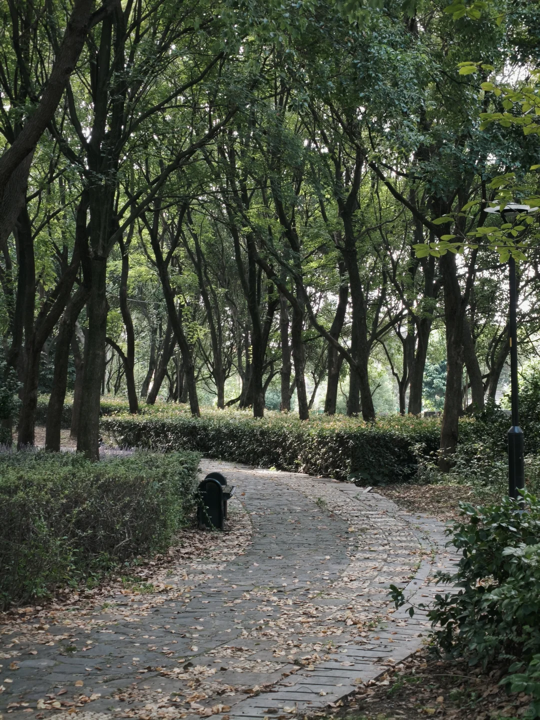 石湖真的是一个巨大的能量场