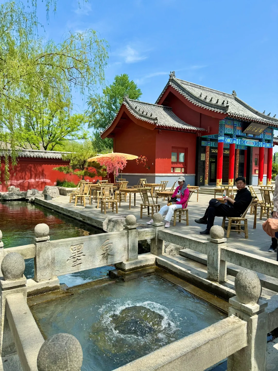 你说一句春不晚，我便来山东下“江南”