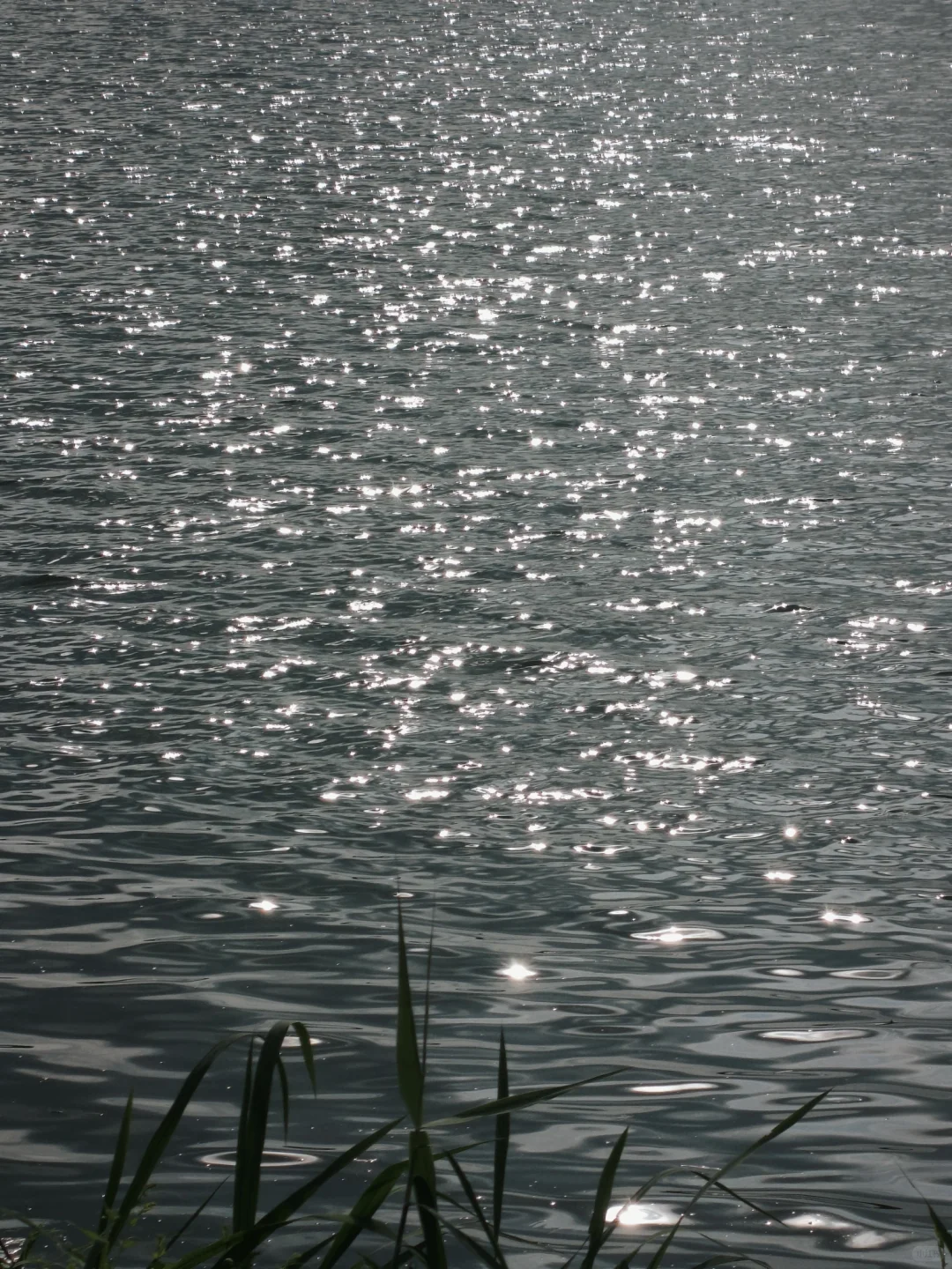 石湖真的是一个巨大的能量场