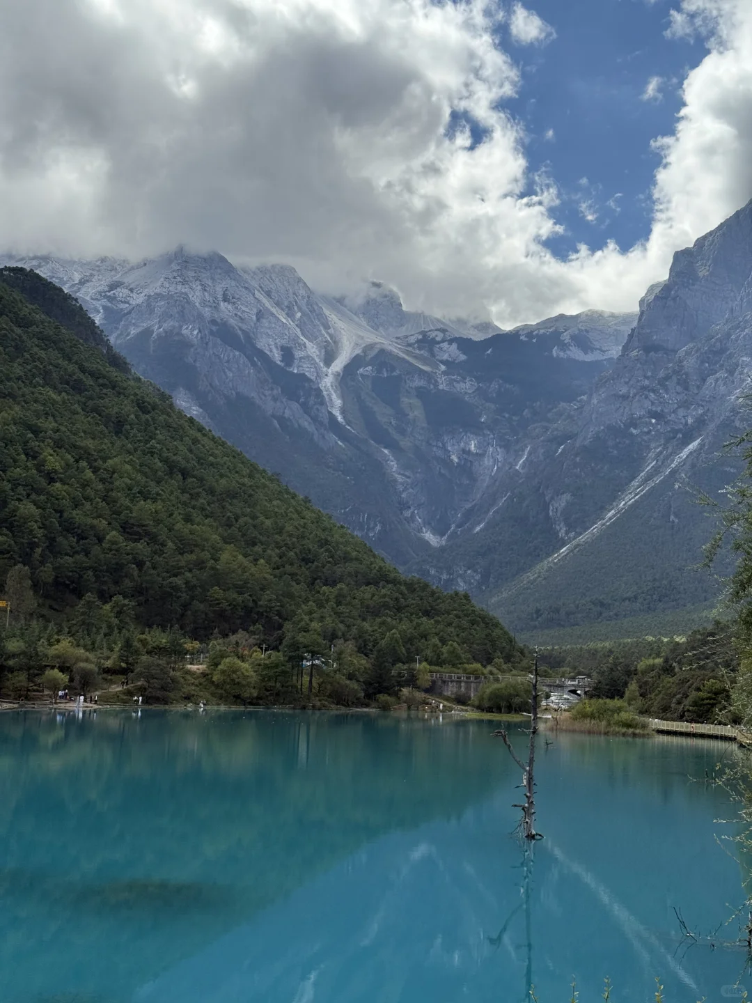 玉龙雪山去牦牛坪还是云杉坪，看这篇就够了