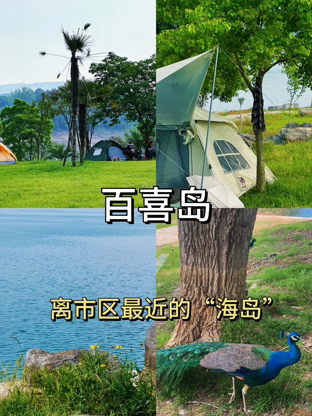 🔥准考证别丢，十堰这些免票景区重点推荐