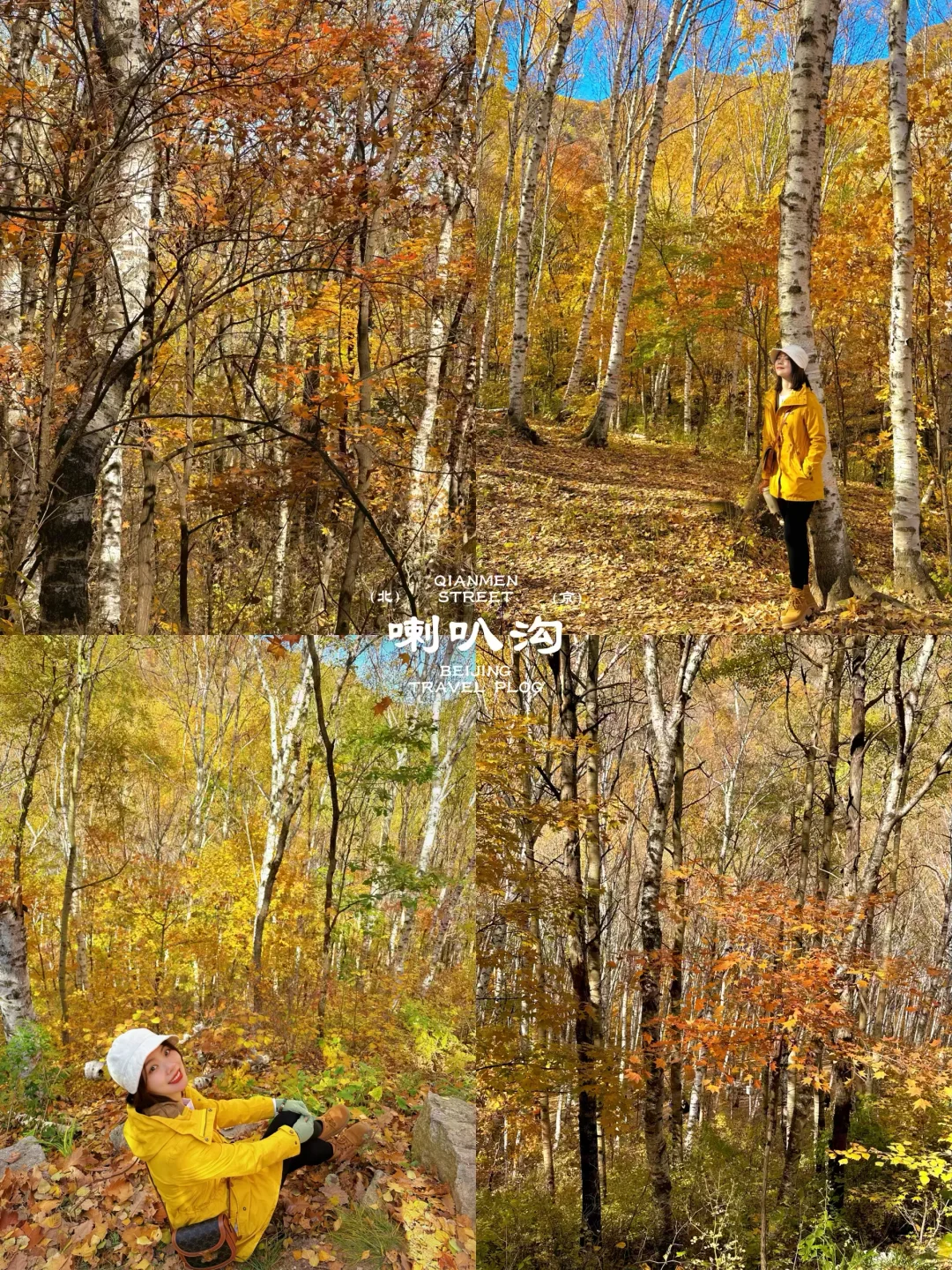 北京这❾个秋游地🍁真的祛魅不了一点‼️