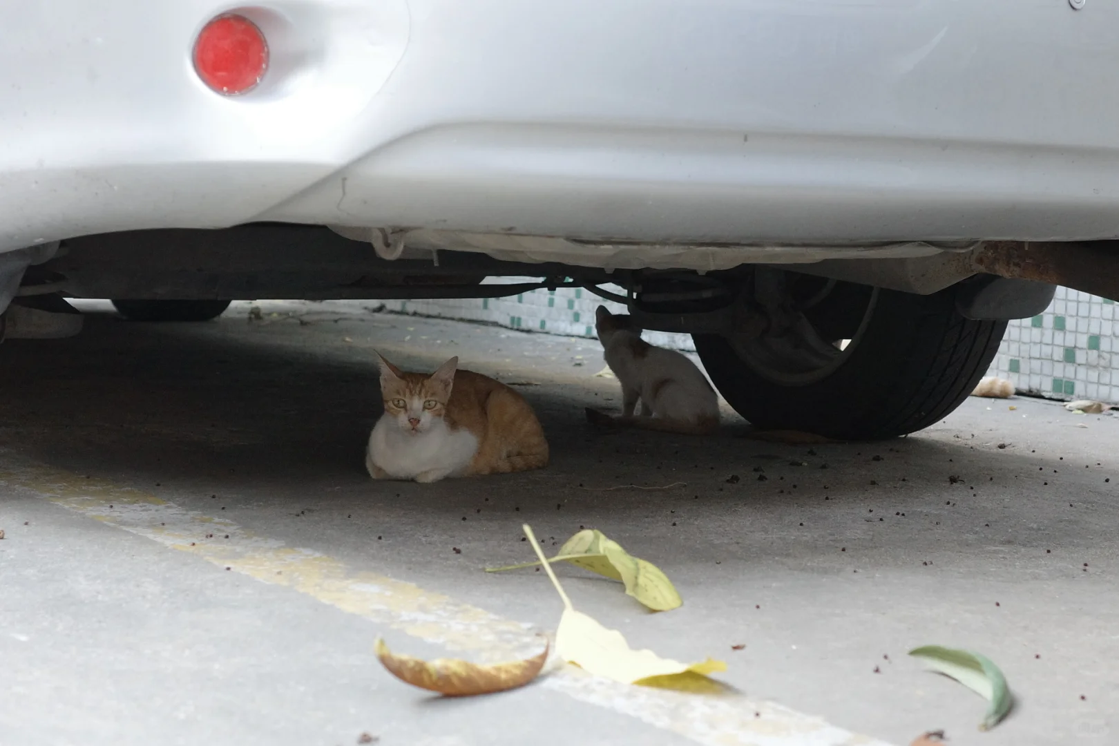 旅游只带GR，这个参数好胶片啊！