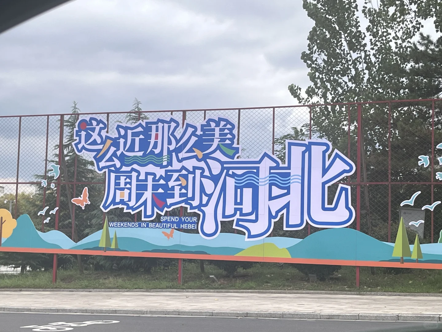 旅游打卡-关于花海