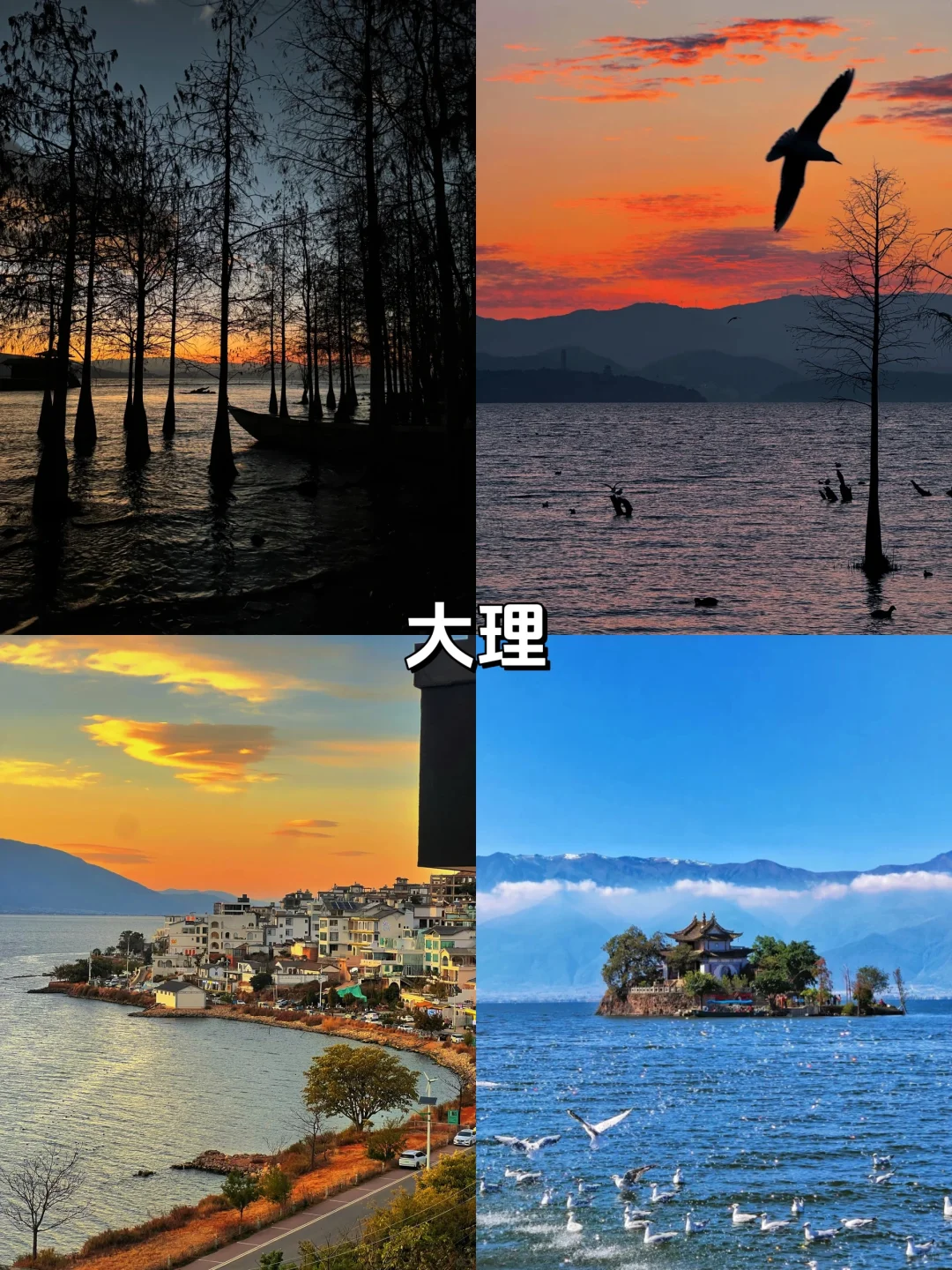 三月份适合游玩的城市!